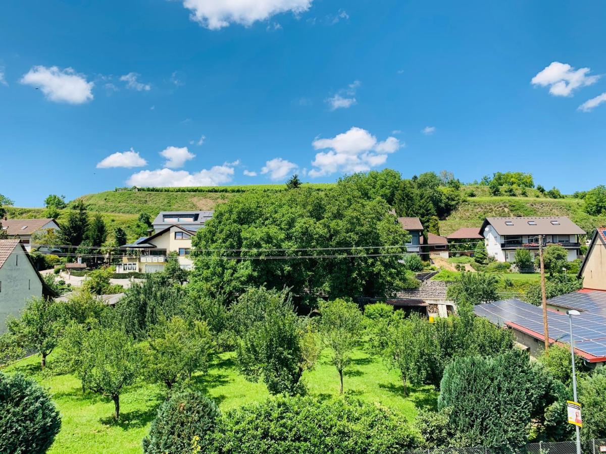 Ferienwohnung Liesel - Kuche, Bad, Wlan, 3 Schlafzimmer, Parkplatz Malterdingen Exterior foto